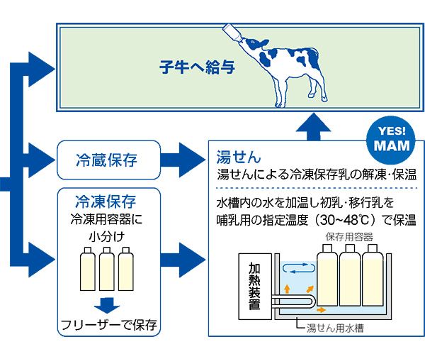 Fourth slide